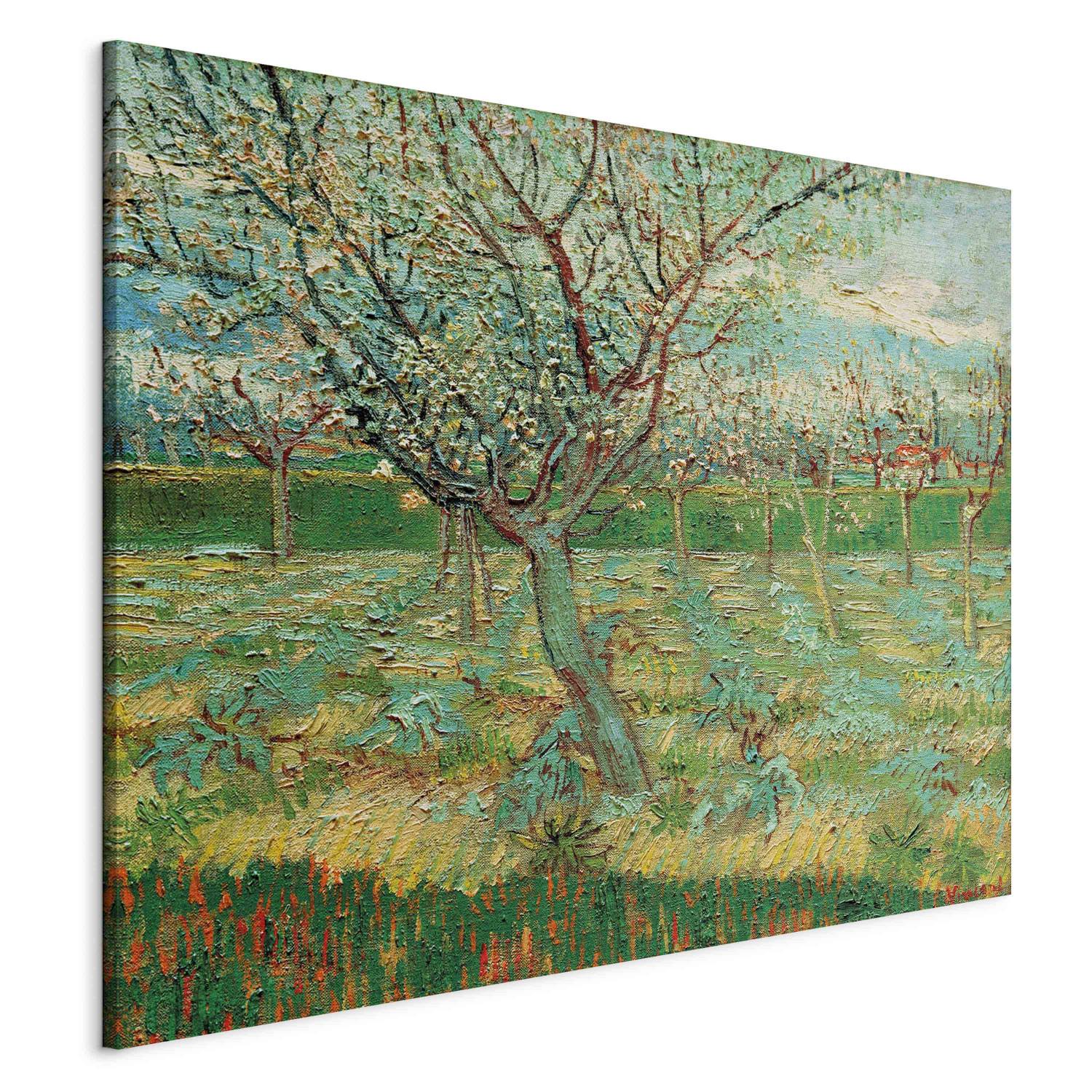 Cuadro famoso Orchard with Apricot Trees in Blossom 