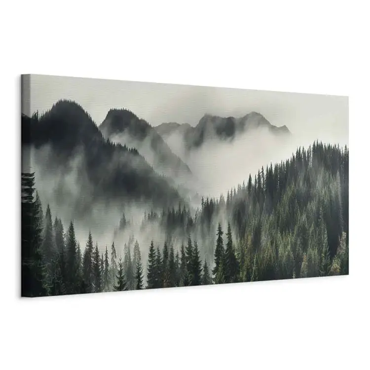 Taiga misteriosa - bosque de coníferas cubierto de niebla matutina