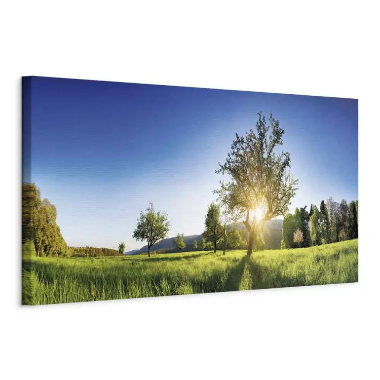 cuadros faciles de atardeceres