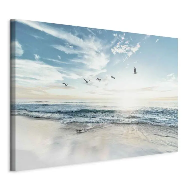 Mañana junto al mar - olas golpeando la orilla y aves contra el cielo