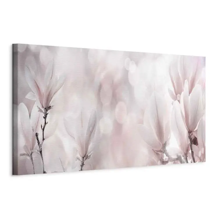 sola flor morada fondo blanco
