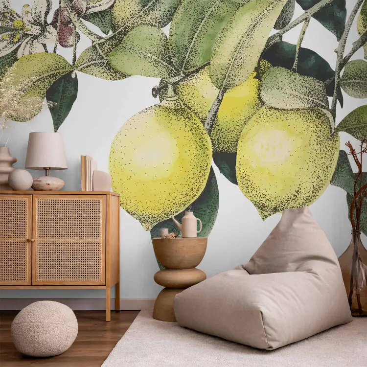 Paraíso de cítricos - gráfico con una rama en flor de un limonero