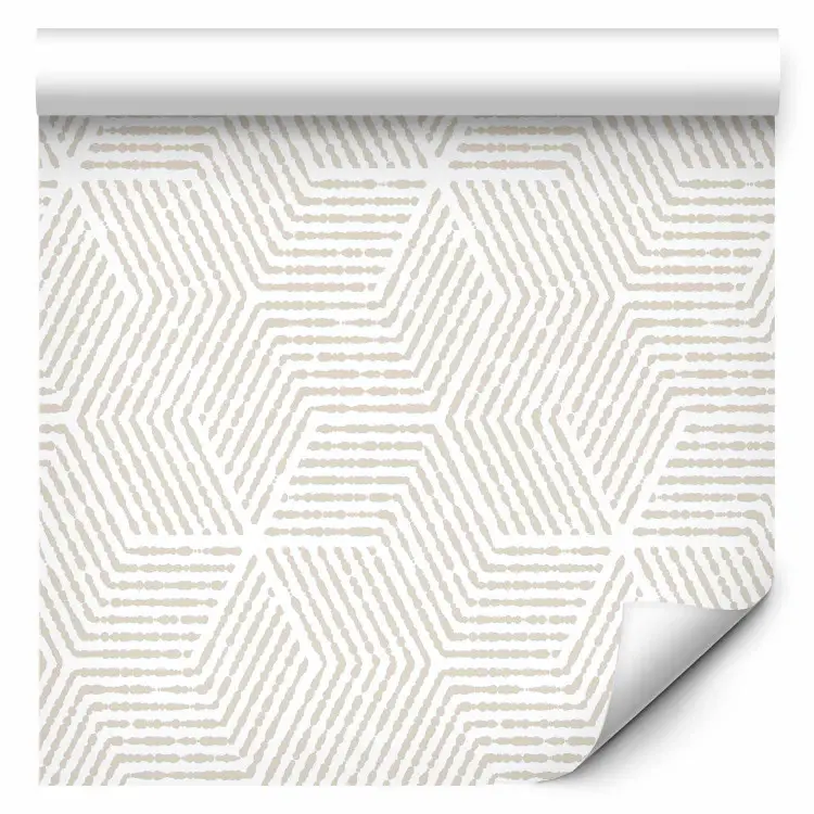 Simetría delicada - composición minimalista con formas lineales