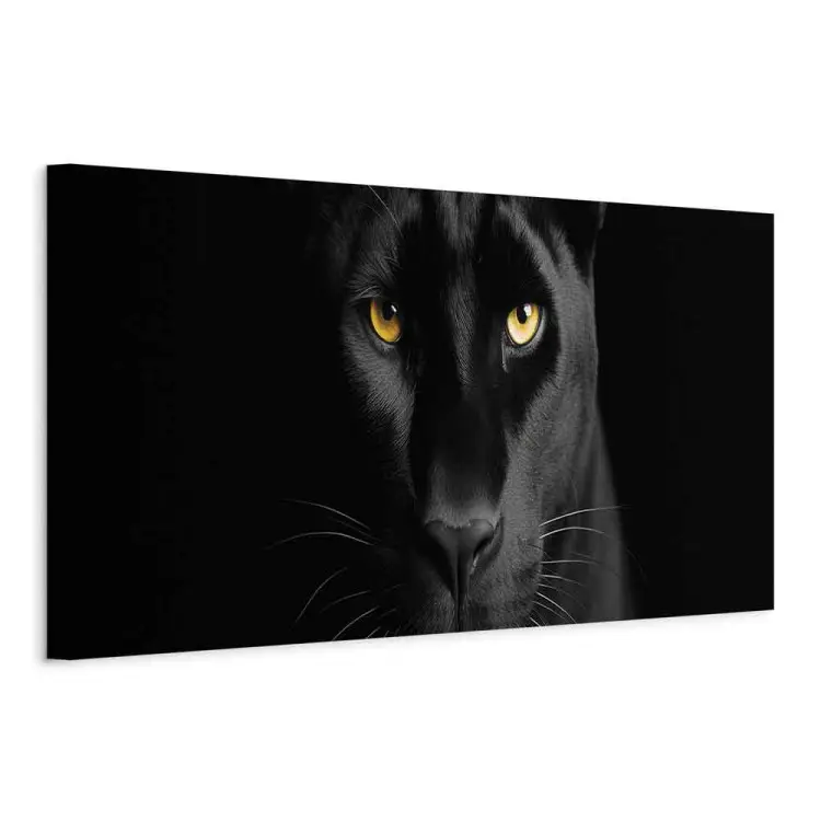 pantera blanca y negra