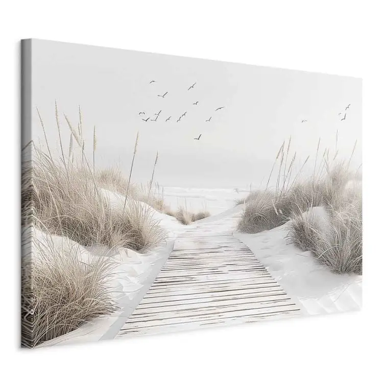Belleza de la naturaleza - sendero de madera entre dunas costeras y hierbas