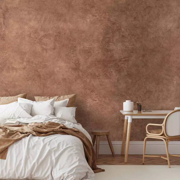 Tokyo WALLS vol.05 edition LY Painter 良番 Fotomural Terracotta and texture - limewash inspired by the