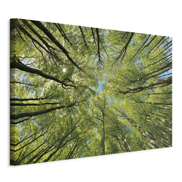 Kunstloft Cuadro Decorativo | 100% PINTADO A MANO | 120x60cm | Pintura 'Arbolado' | Bosques Y árboles | Blanco Beige | Cuadro Moderno En Lienzo
