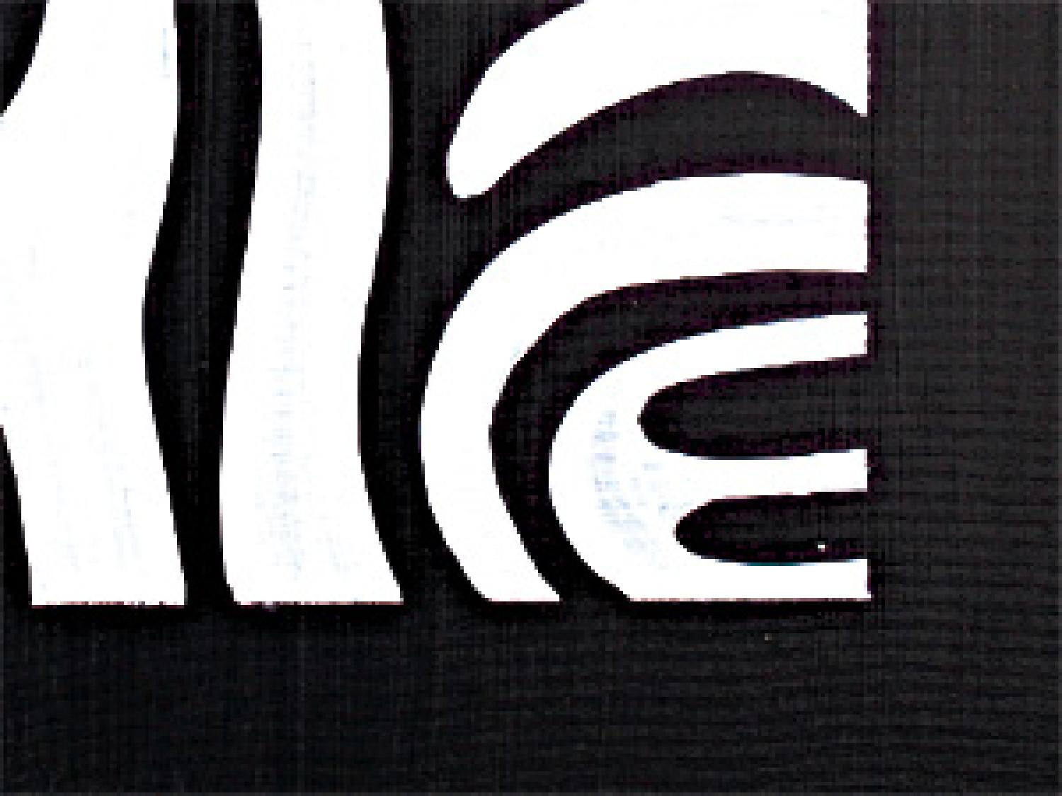 Cuadro decorativo Rayas de cebra (3 piezas) - abstracción minimalista blanco y negro
