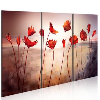 Cuadro moderno Bright red poppies