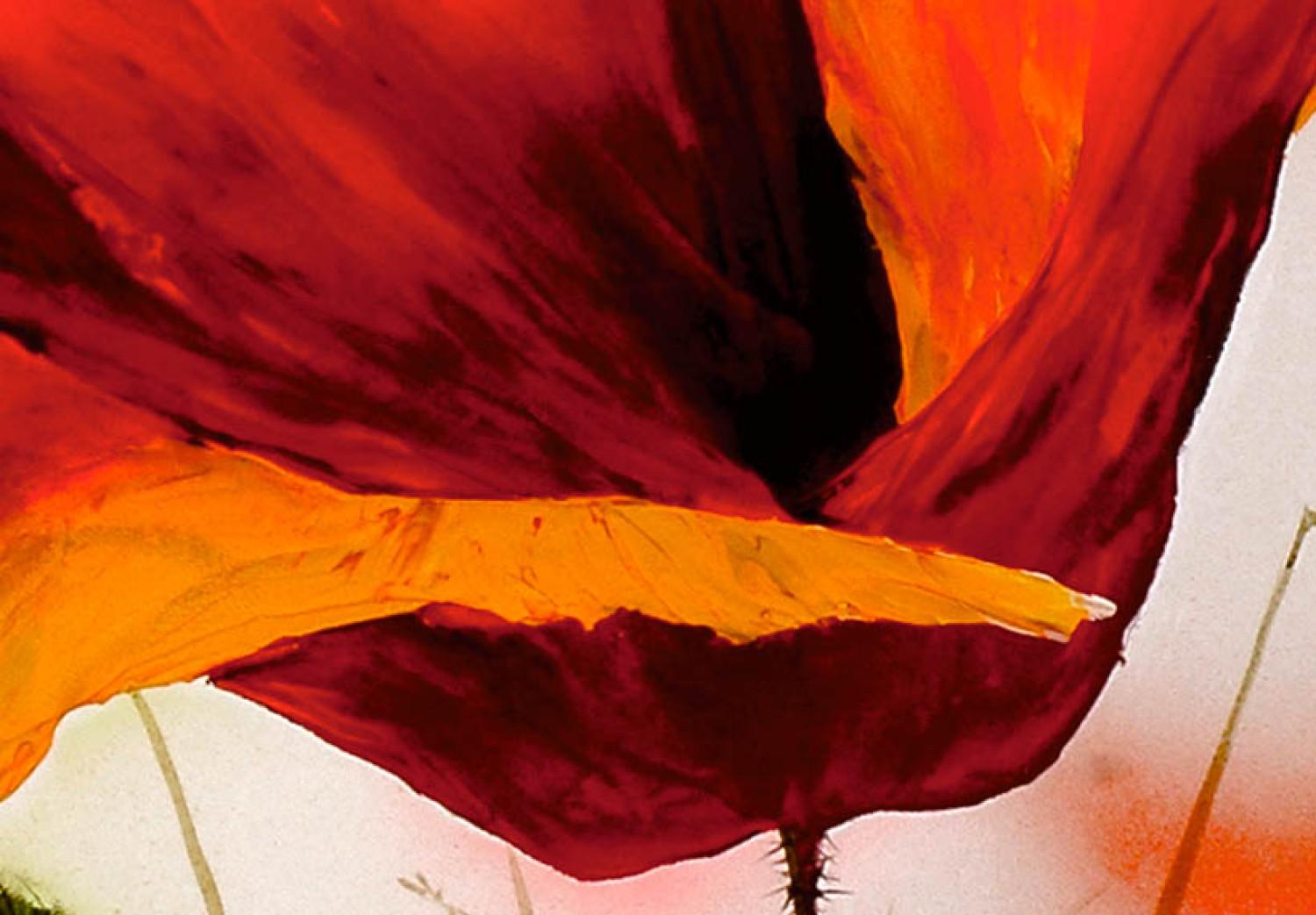 Cuadro decorativo Amapolas en prado floral (1 pieza) - primer plano de flores rojas 3D