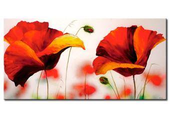 Cuadro decorativo Amapolas en prado floral (1 pieza) - primer plano de flores rojas 3D