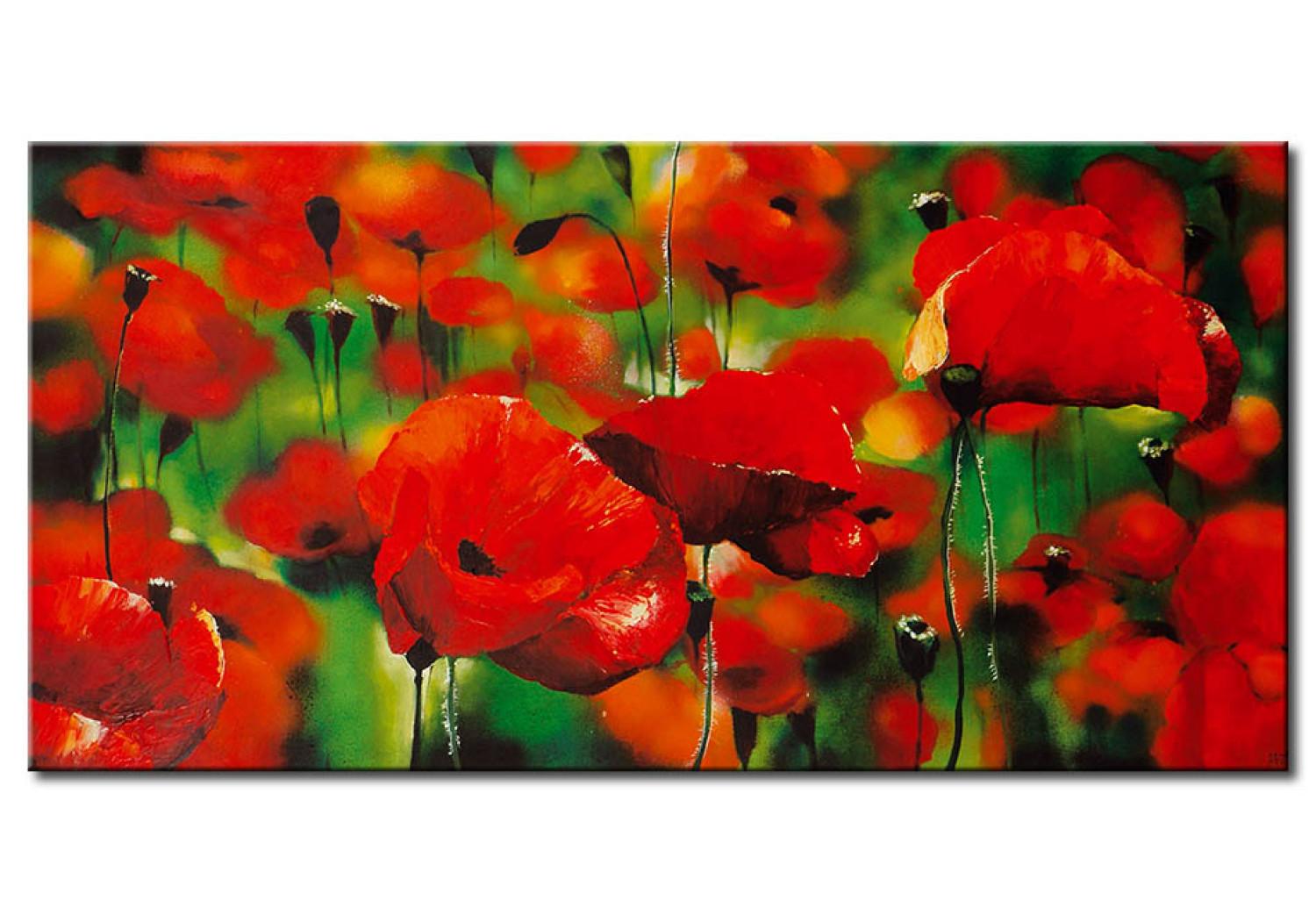 Cuadro Amapolas rojas - un prado lleno de flores de colores muy saturados