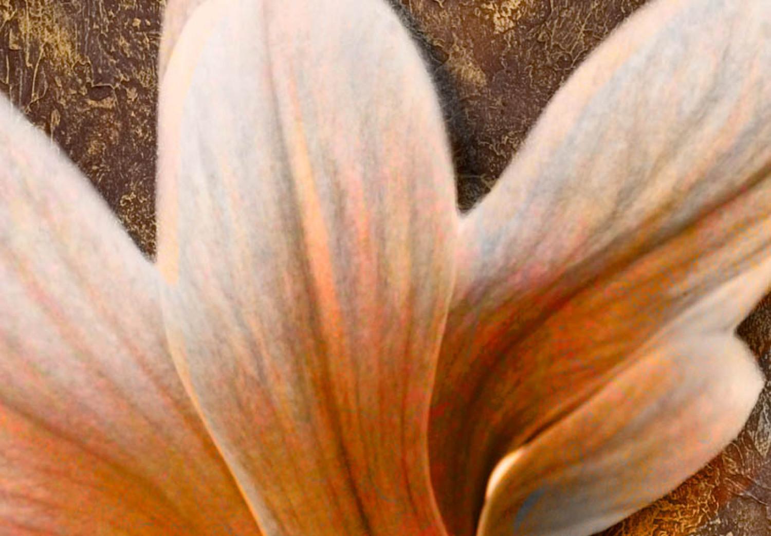 Cuadro moderno Naturaleza de magnolia (1 pieza) - flores brillantes en tonos marrones