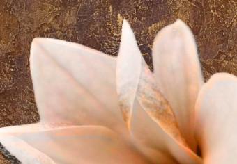 Cuadro moderno Naturaleza de magnolia (1 pieza) - flores brillantes en tonos marrones