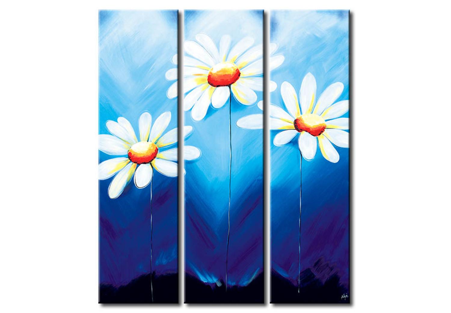 Cuadro moderno Margaritas (3 piezas) - composición de flores blancas en fondo azul