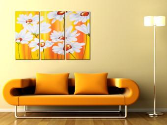 Cuadro decorativo Margaritas al sol (3 piezas) - flores blancas en fondo naranja