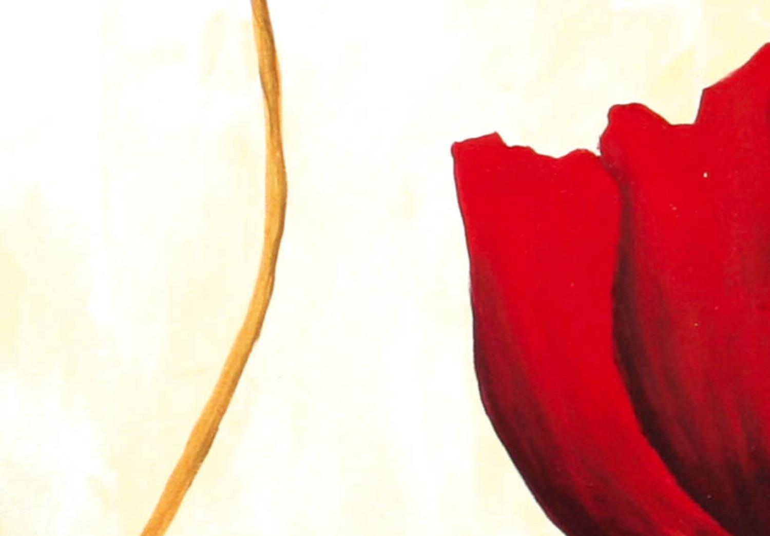Cuadro moderno Tulipanes rojos (3 piezas) - composición de flores en fondo claro