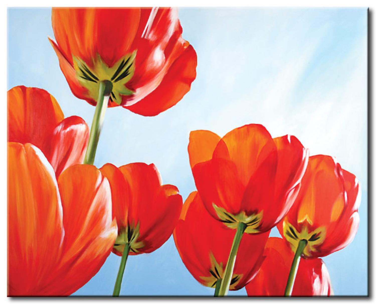 Cuadro decorativo Tulipanes (1 pieza) - flores rojas contra cielo azul