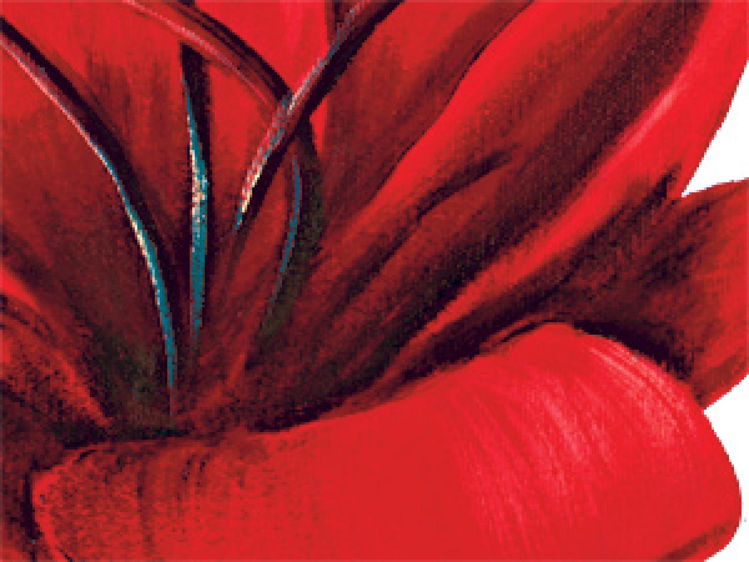 Cuadro moderno Flores rojas 