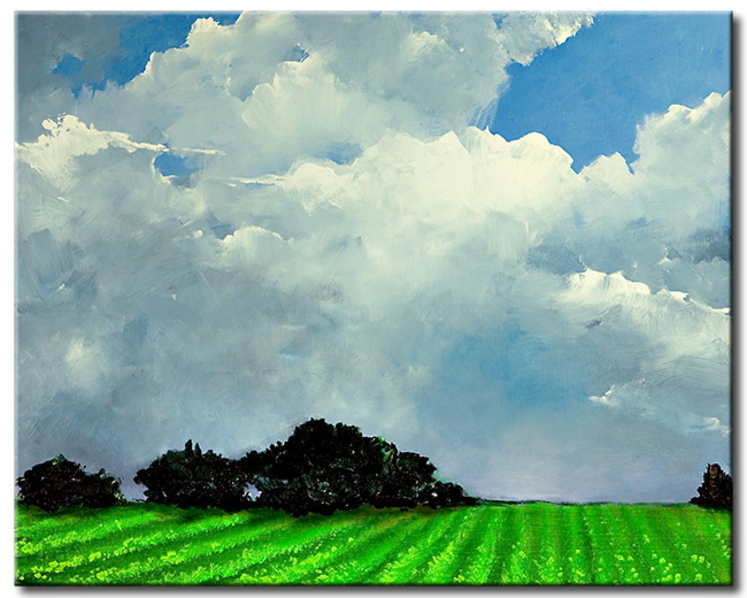 Cuadro Idilio rural - paisaje de campos verdes sobre el fondo del cielo azul