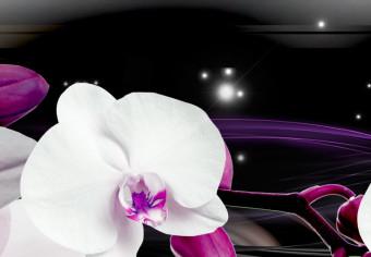 Cuadro Orquídeas en el fondo negro