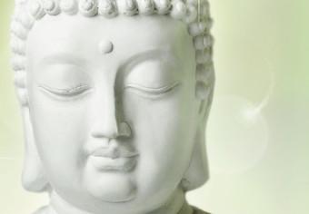 Cuadro Buda y jazmín