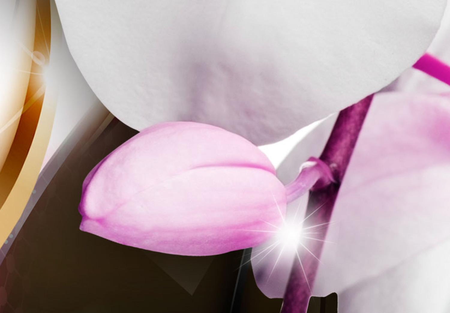 Cuadro Orquídeas: flores de color rosa