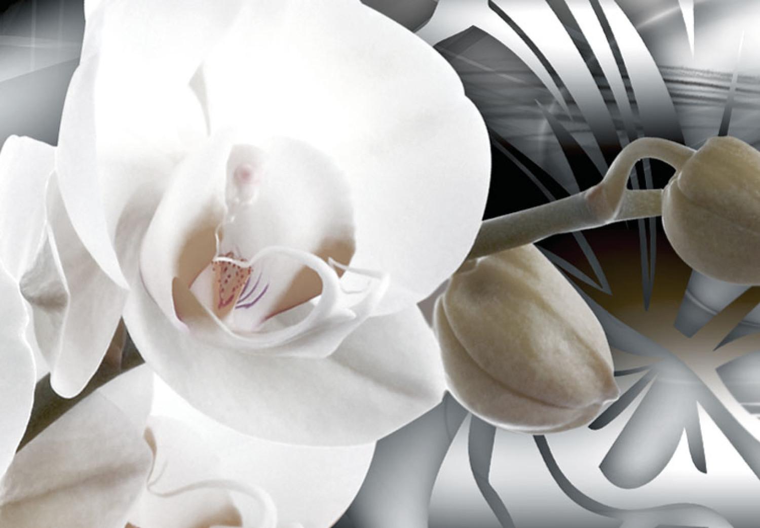 Cuadro decorativo Orquídeas bañadas en platino