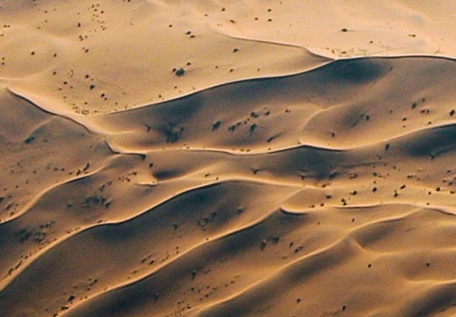 Cuadro Arenas del desierto