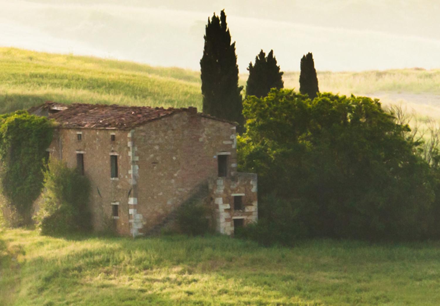 Cuadro decorativo Tuscany landscapes