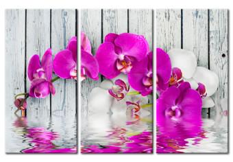 Cuadro decorativo Armonía: orquídea - tríptico