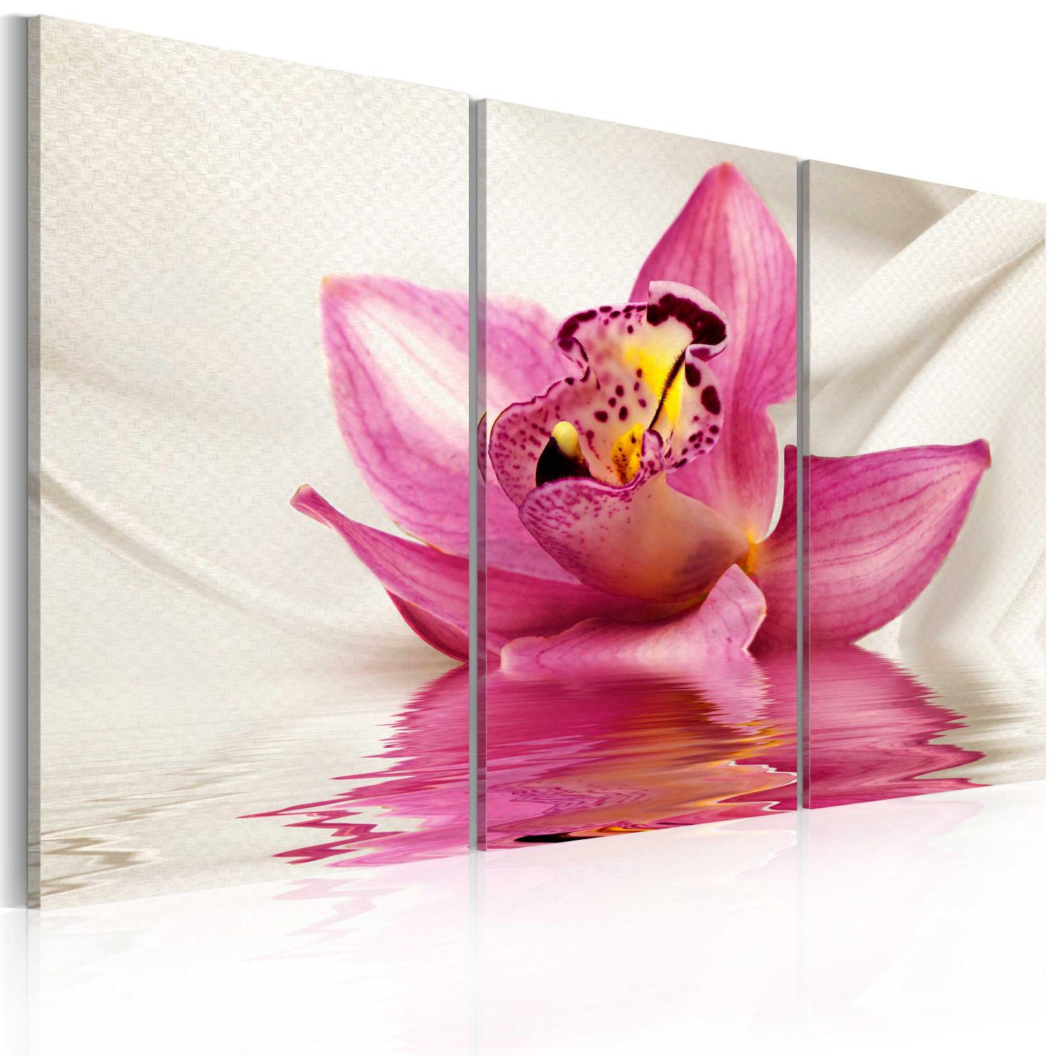 Cuadro decorativo Unusual orchid - triptych