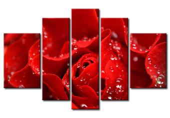 Cuadro Beso de una rosa roja 