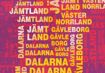 Cuadro moderno Mapa de Suecia (fondo rosa)