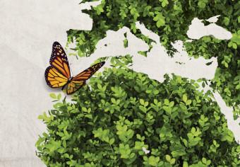 Cuadro decorativo Tierra verde de las mariposas