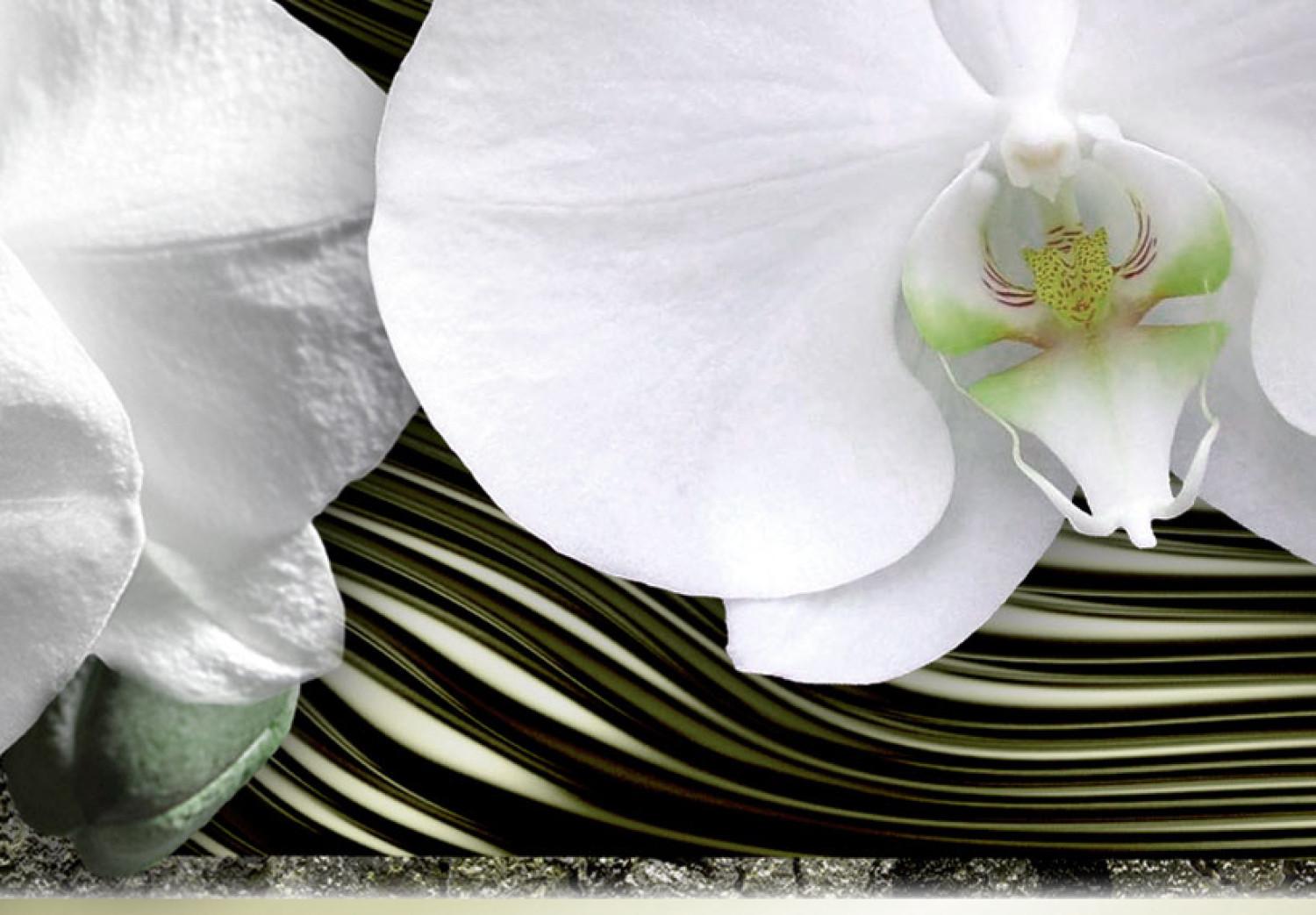 Cuadro Sueño de orquídeas blancas