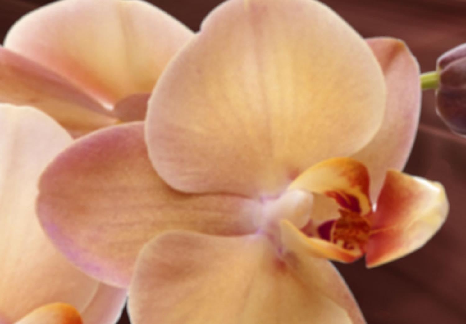 Cuadro Orquídeas en un fondo ondulado
