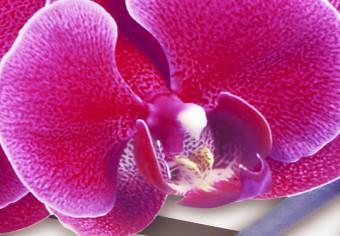 Cuadro moderno Orquídea en un fondo tenue