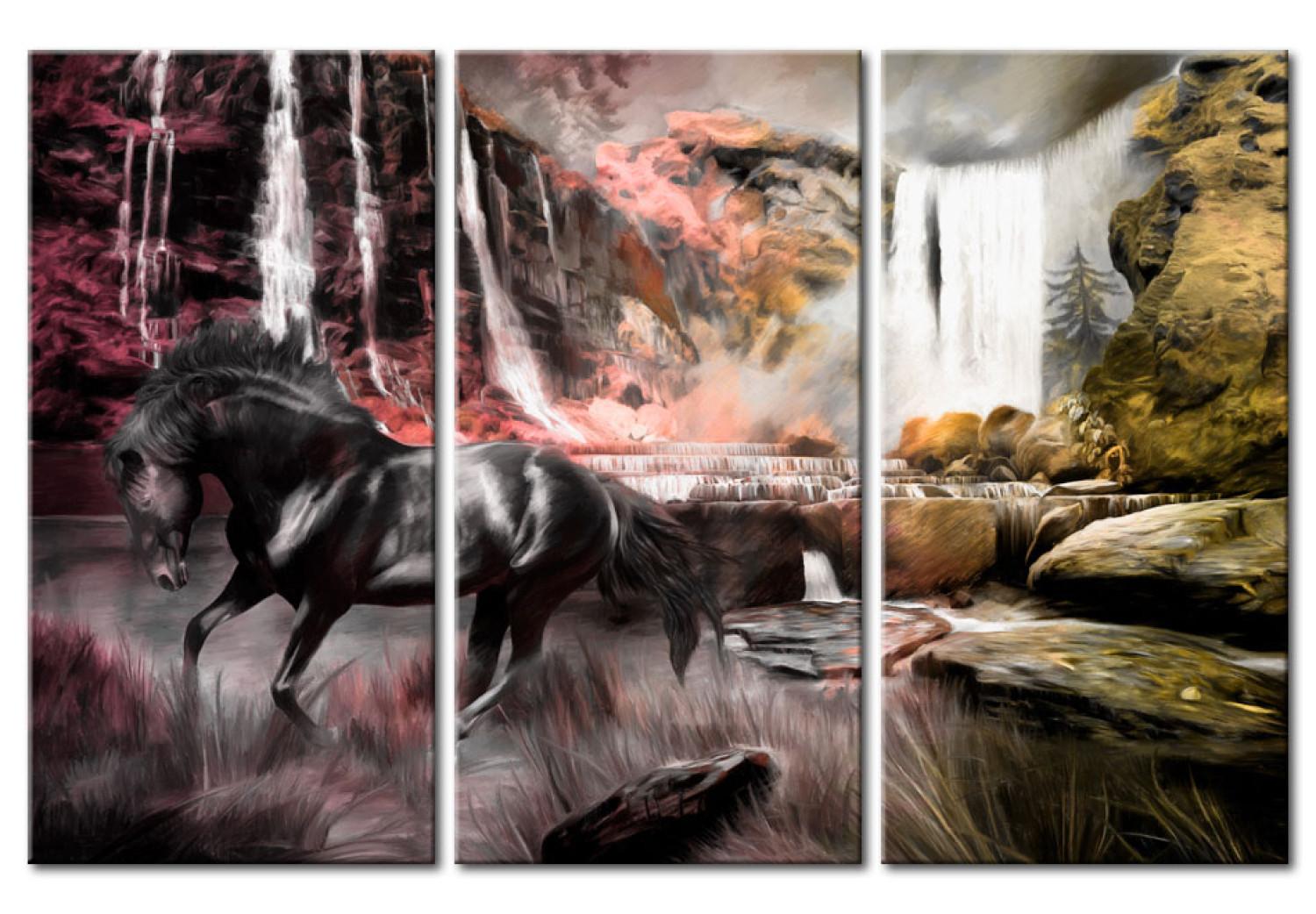 Cuadro decorativo Cascada y caballo - un paisaje de piedra natural con un animal negro