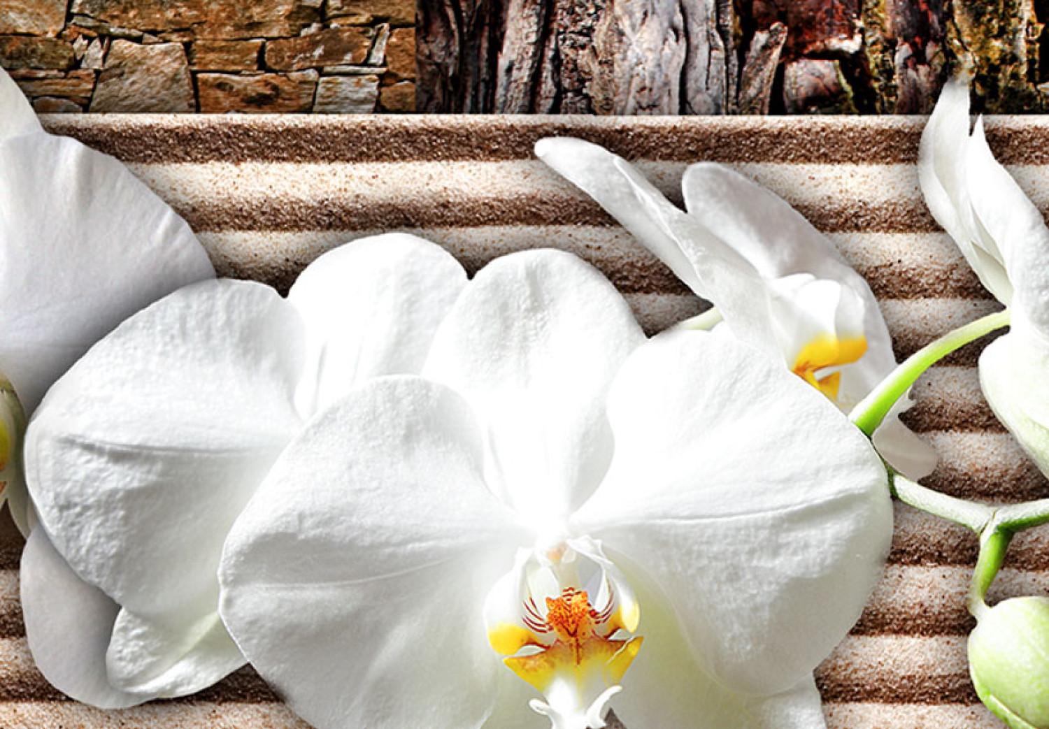 Cuadro Zen: orquídea blanca