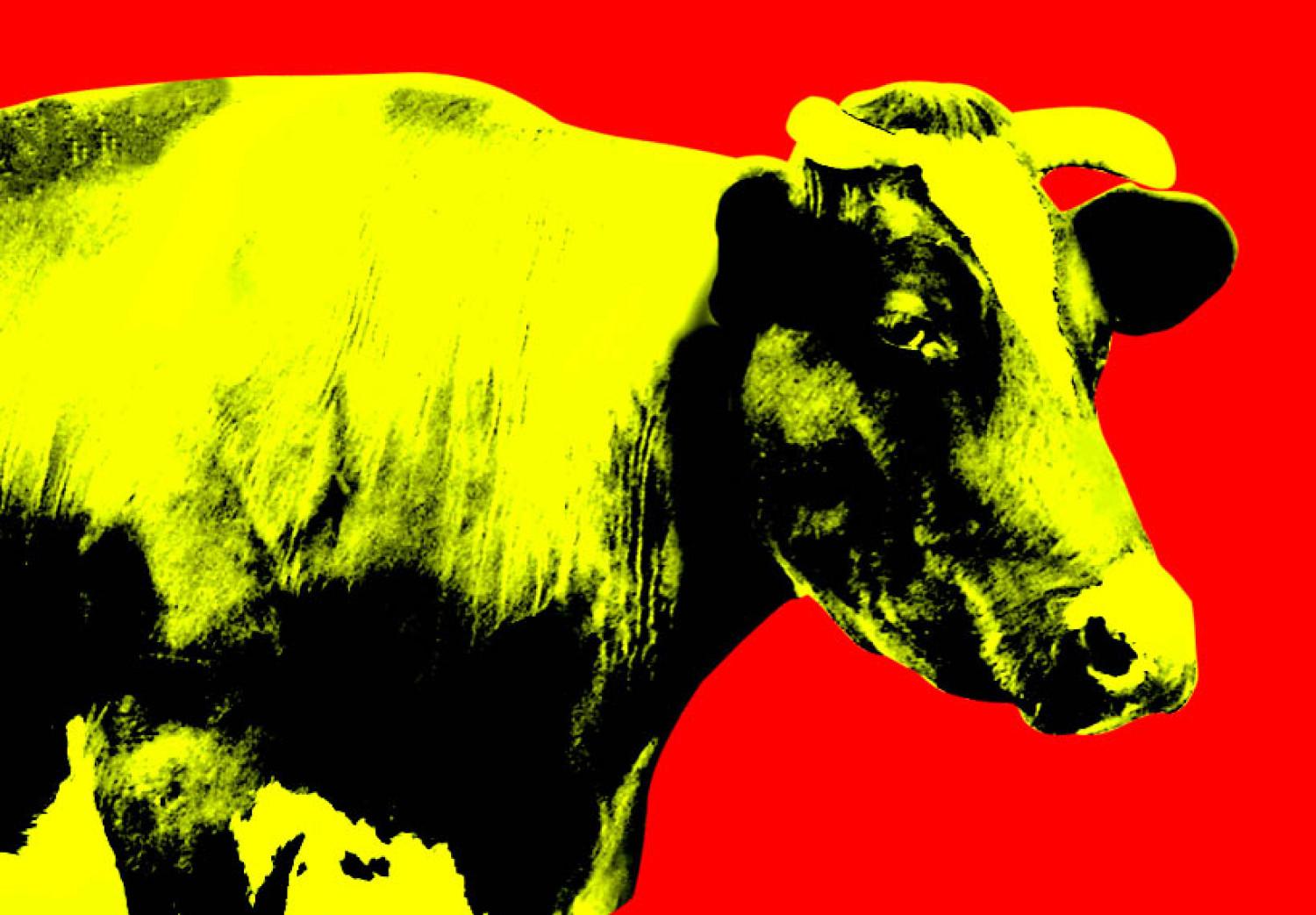 Cuadro moderno Vaca de colores 