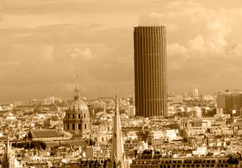 Cuadro Panorama parisino