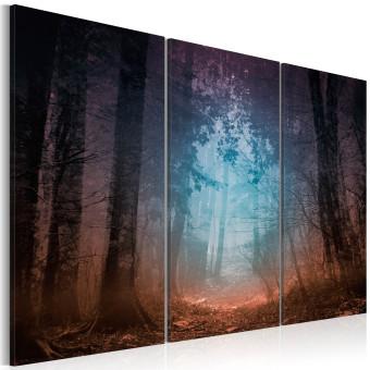 Cuadro decorativo Edge of the forest - triptych