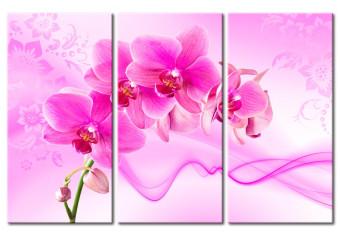 Cuadro decorativo Orquídea sutil - rosa