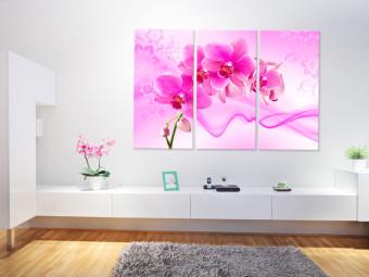 Cuadro decorativo Orquídea sutil - rosa