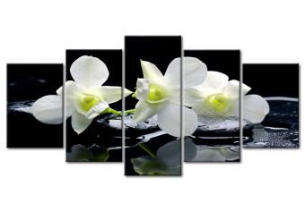 Cuadro decorativo Orquídeas melancólicas