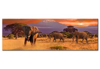 Cuadro decorativo Marcha de los elefantes africanos