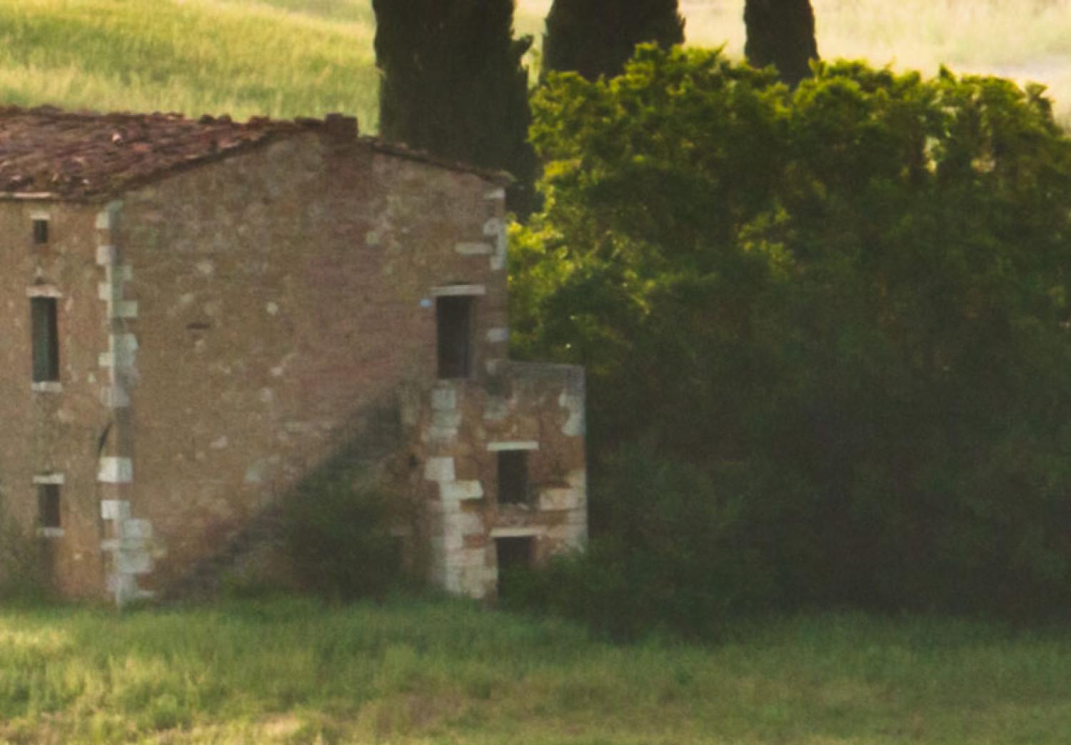 Cuadro decorativo Bajo el sol de la Toscana