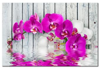 Cuadro moderno Armonía: orquídea