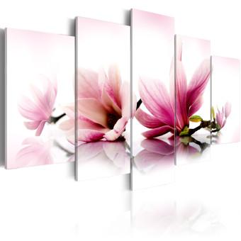 Cuadro decorativo Magnolias rosa